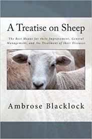 A Treatise on Sheep; The Best Means for Their Improvement, General Management, and the Treatment of Their Diseases